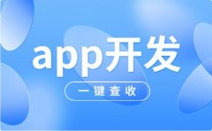 APP开发中的代码优化与重构方法