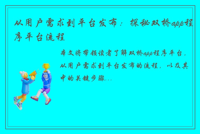 从用户需求到平台发布：探秘双桥app程序平台流程