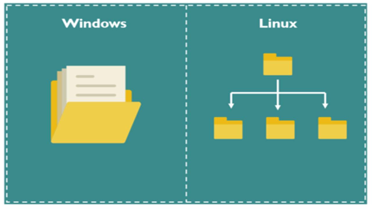 文件系统linuxlvm__文件系统exFAT和NTFS