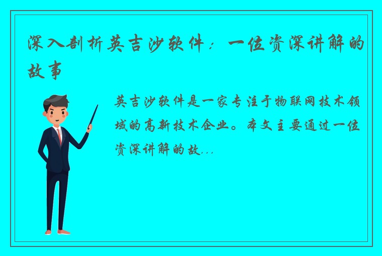 深入剖析英吉沙软件：一位资深讲解的故事