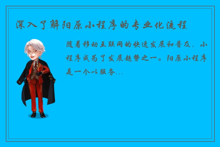 深入了解阳原小程序的专业化流程