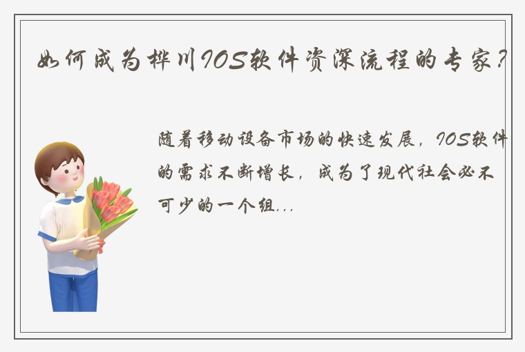 如何成为桦川IOS软件资深流程的专家？