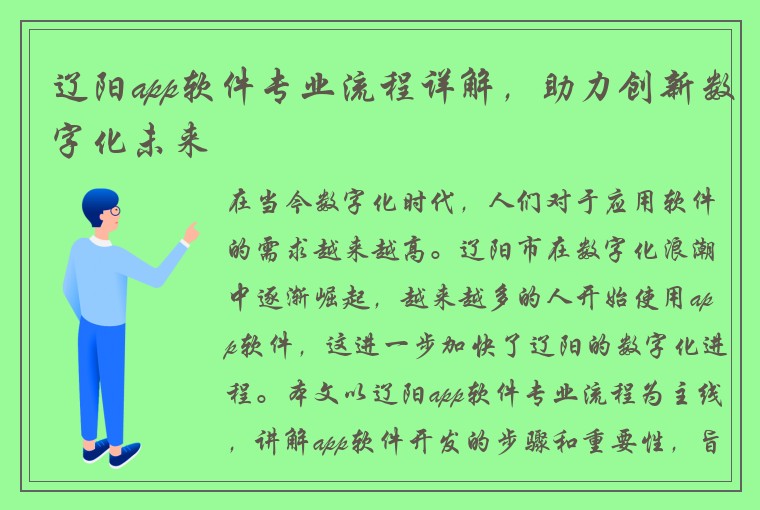 辽阳app软件专业流程详解，助力创新数字化未来